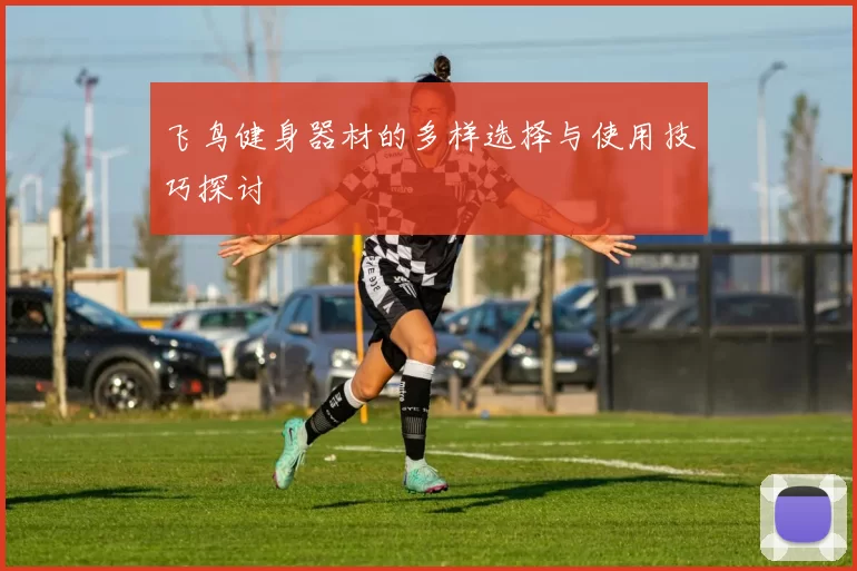 飞鸟健身器材的多样选择与使用技巧探讨