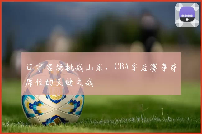 辽宁客场挑战山东，CBA季后赛争夺席位的关键之战