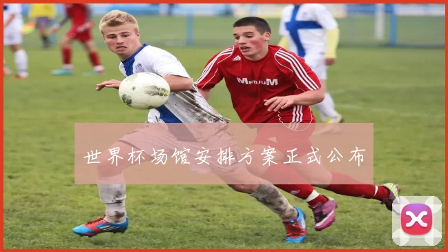 世界杯场馆安排方案正式公布