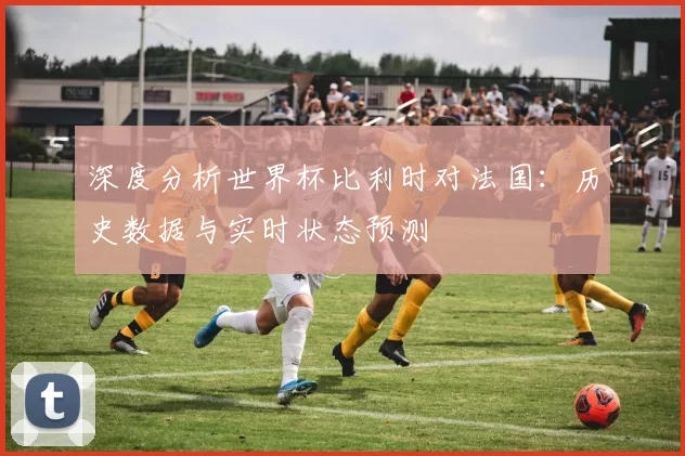深度分析世界杯比利时对法国:历史数据与实时状态预测