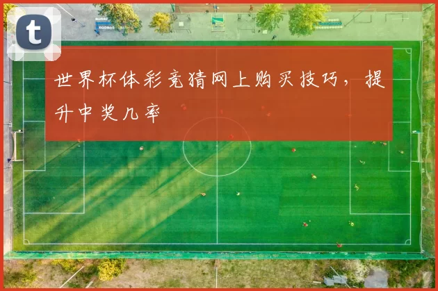 世界杯体彩竞猜网上购买技巧,提升中奖几率