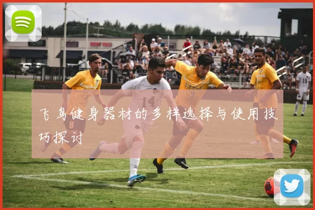 飞鸟健身器材的多样选择与使用技巧探讨