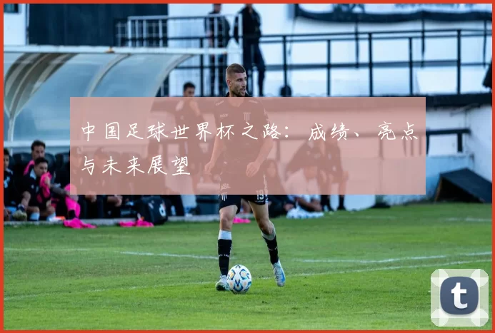中国足球世界杯之路：成绩、亮点与未来展望