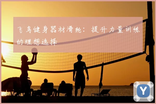 飞鸟健身器材滑轮:提升力量训练的理想选择