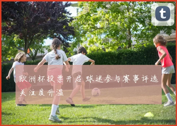 欧洲杯投票开启 球迷参与赛事评选关注度升温