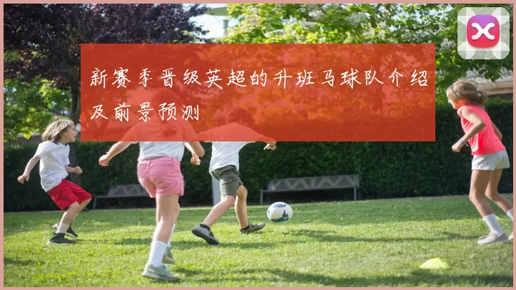 新赛季晋级英超的升班马球队介绍及前景预测