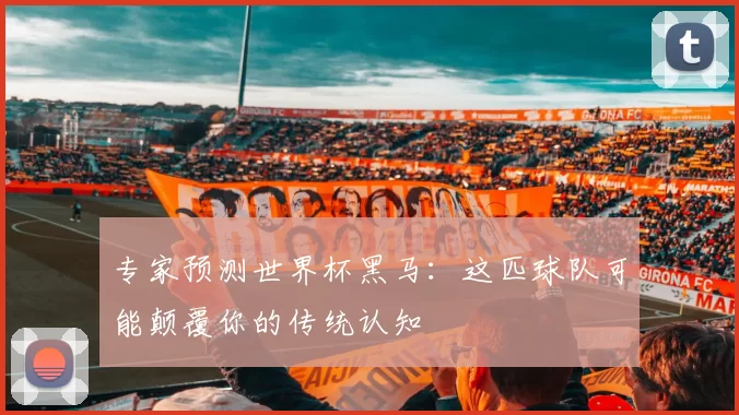 专家预测世界杯黑马：这匹球队可能颠覆你的传统认知