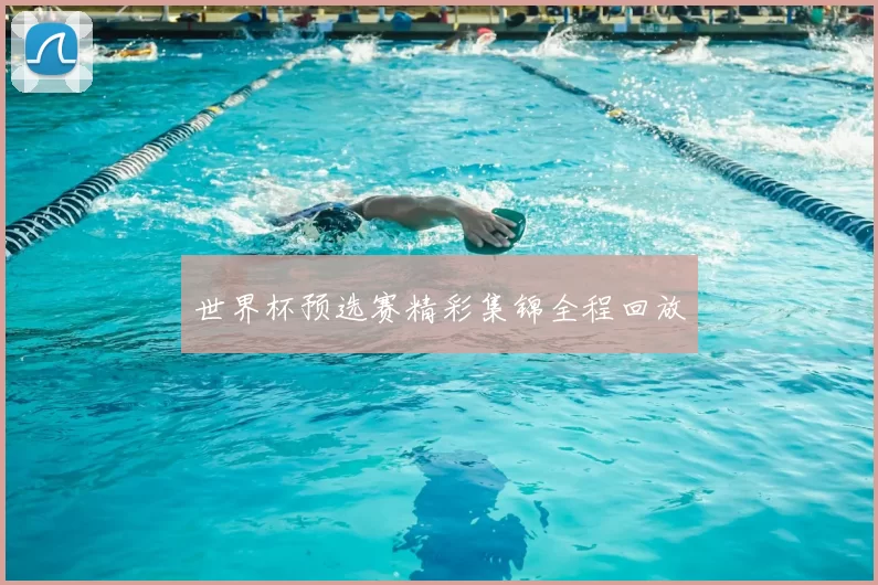 世界杯预选赛精彩集锦全程回放